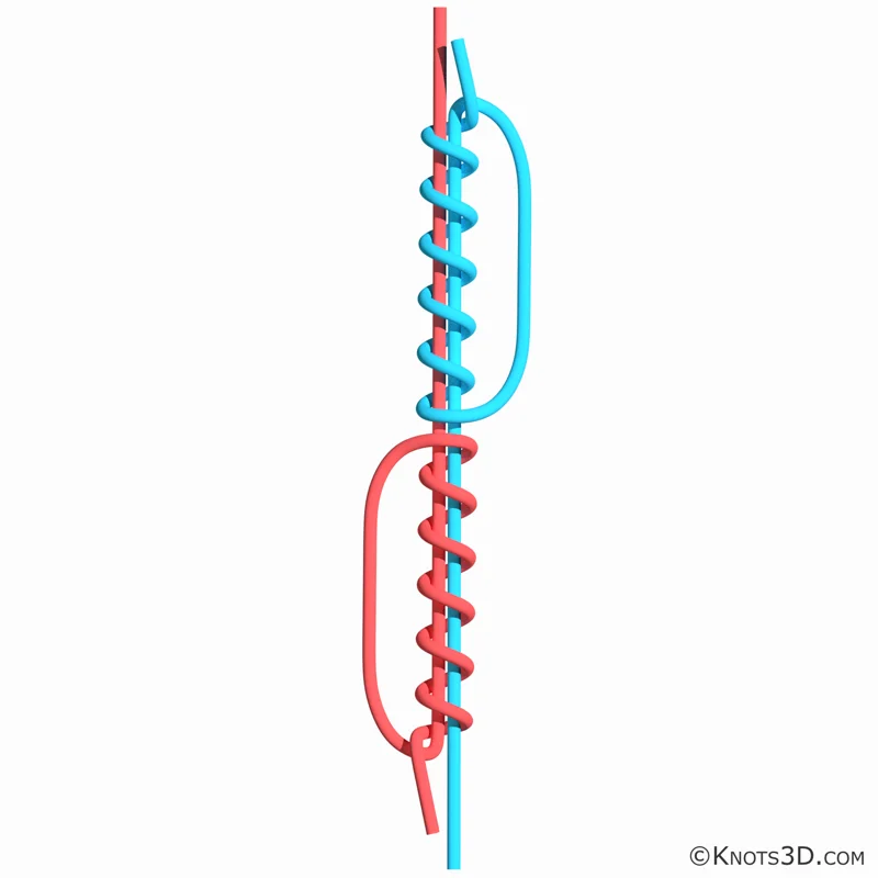 Animace: Dvojitý rozšklebený uzel