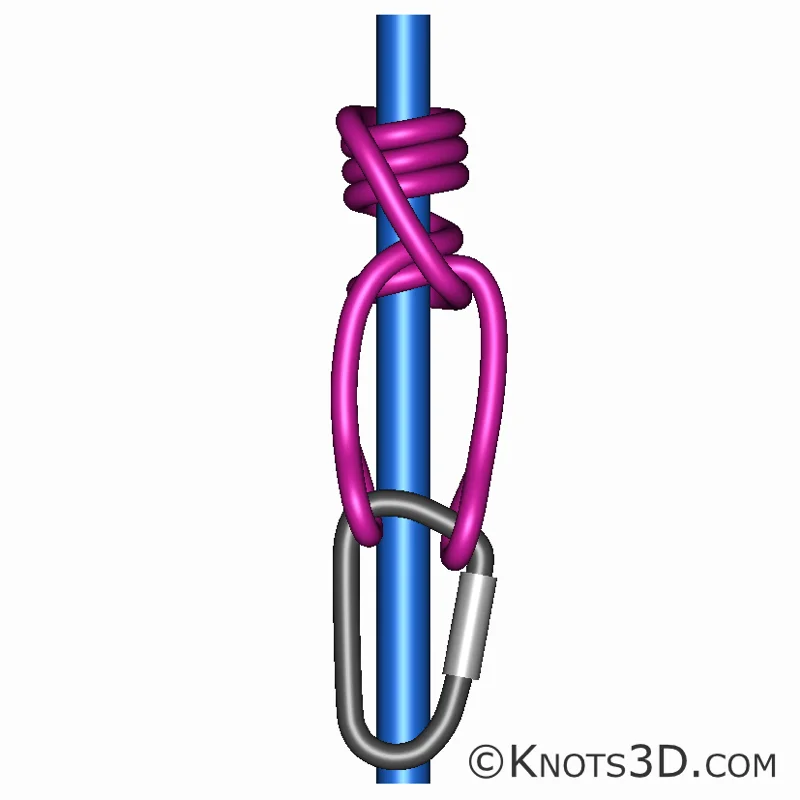 Animation: Distel-knude