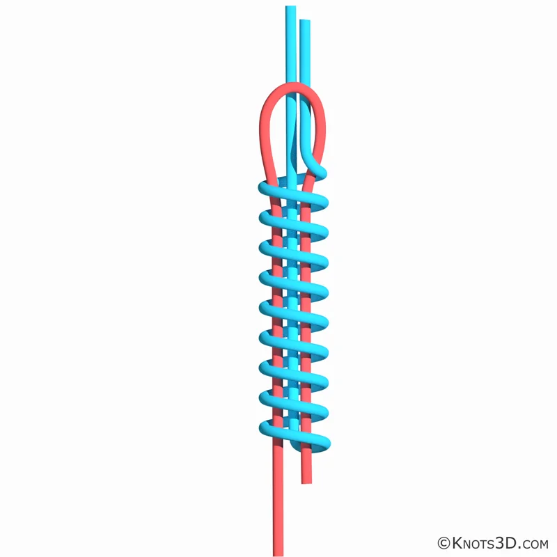 Animation: Albright-Knoten