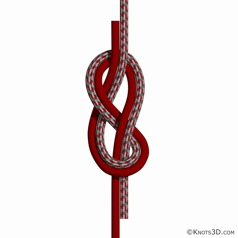 Animation: Flämischer Knoten