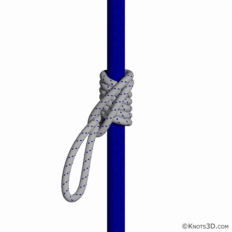 Animation: Klemheist