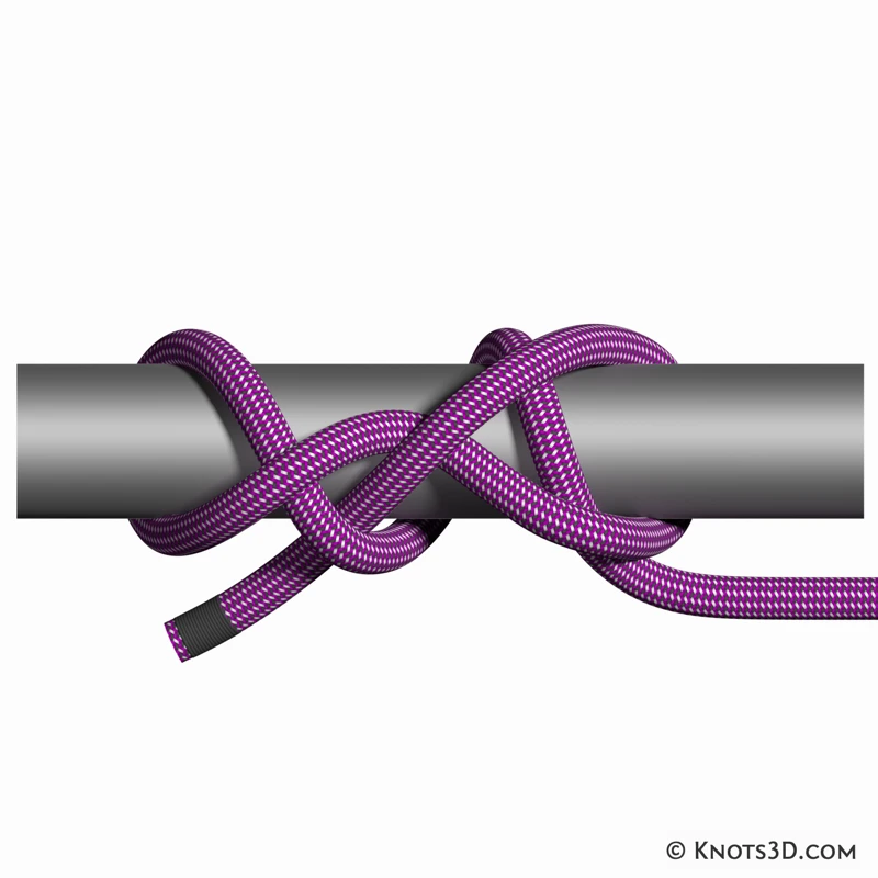 Animation: Königin-Clara-Stek