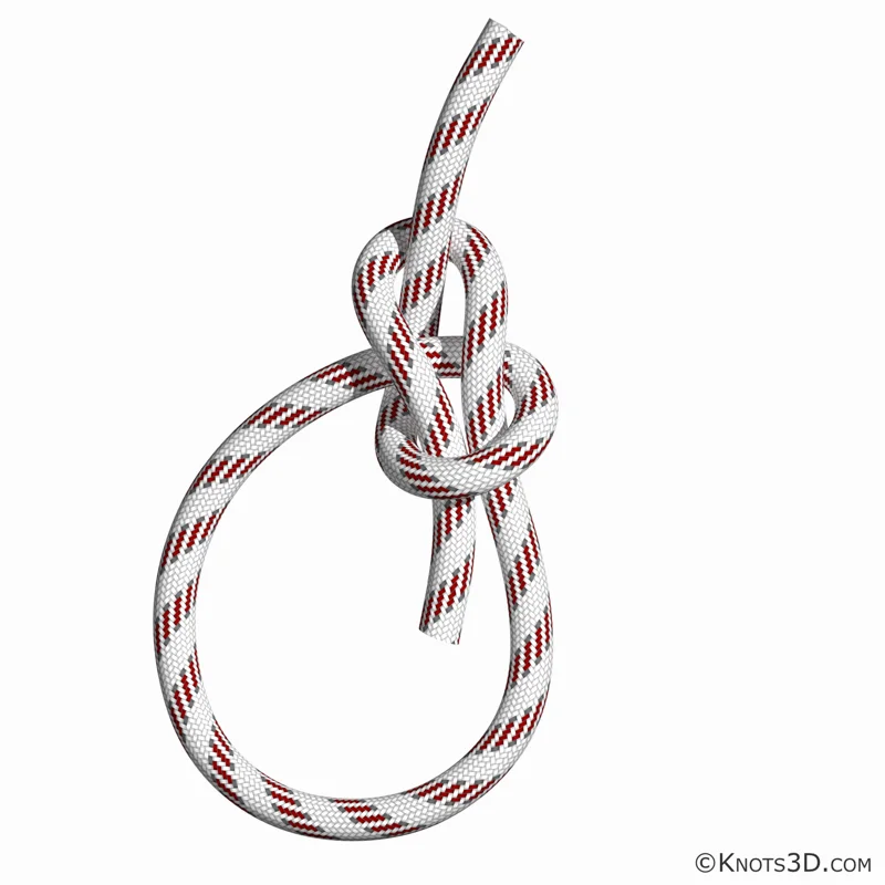 Animation: Palstek (2)