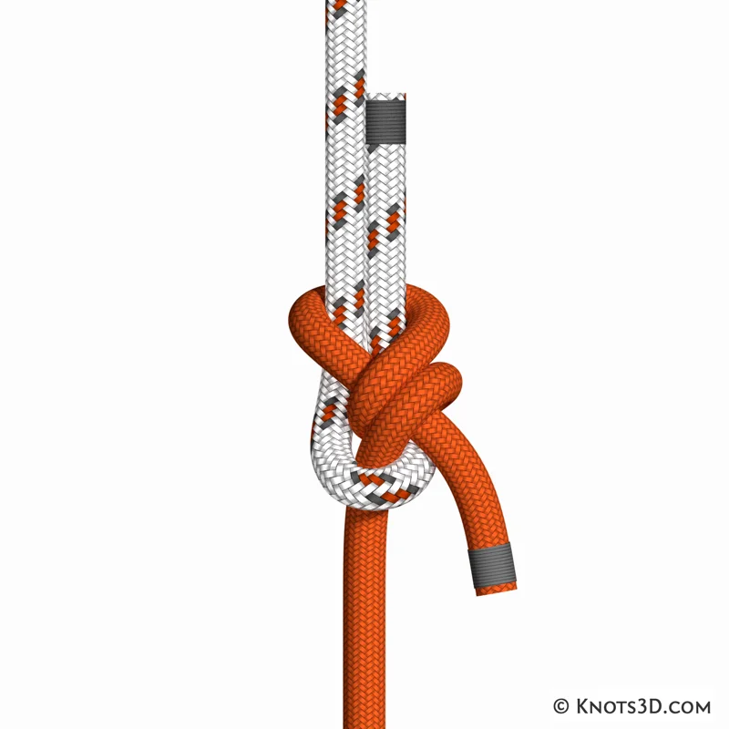 Animation: Sansome-Stek