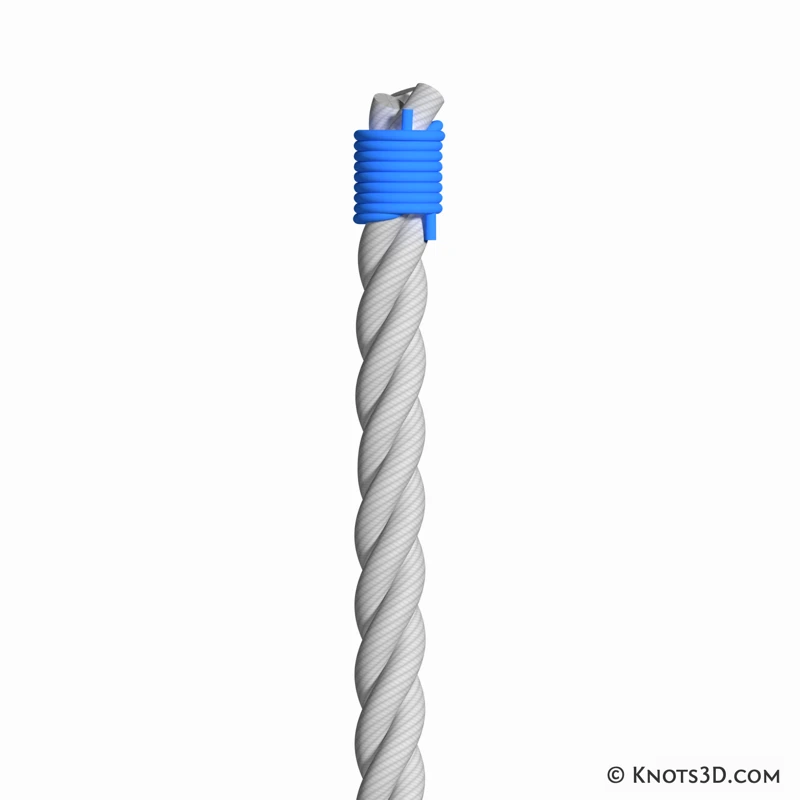Animation: Perfect Whipping