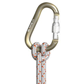 Clove Hitch (Two Loops)