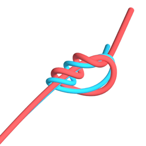 Surgeon's Knot (Fishing)