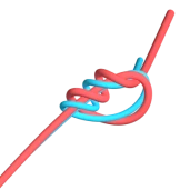 Surgeon's Knot (Fishing)