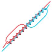 Uni-to-Uni Knot