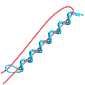 Yucatan Knot