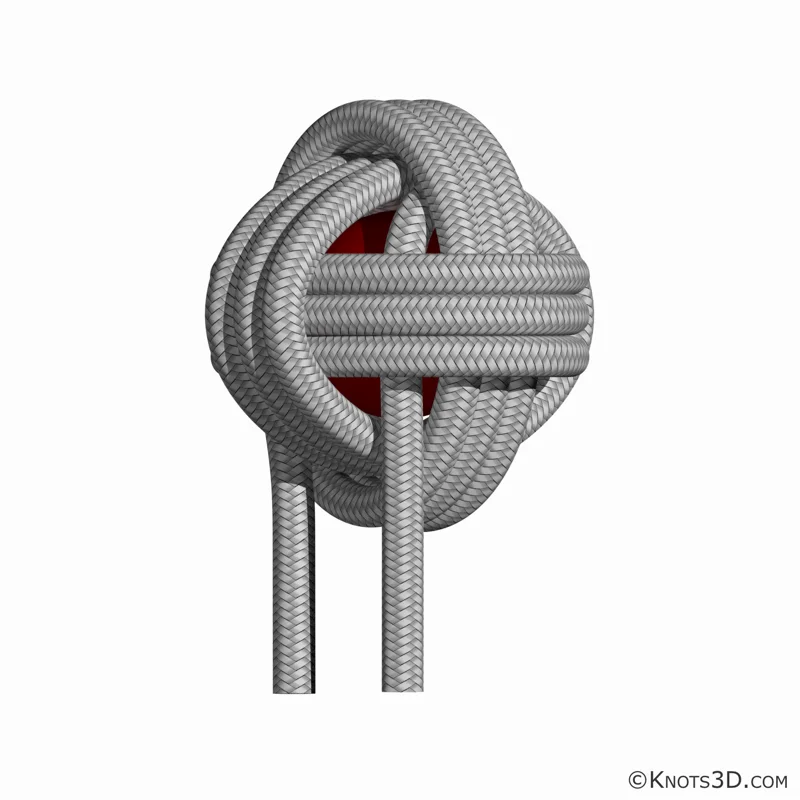 Puño de mono | Cómo se ata | Nudos 3D