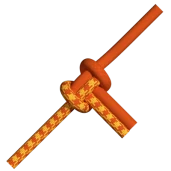 Nudo mariposa alpina