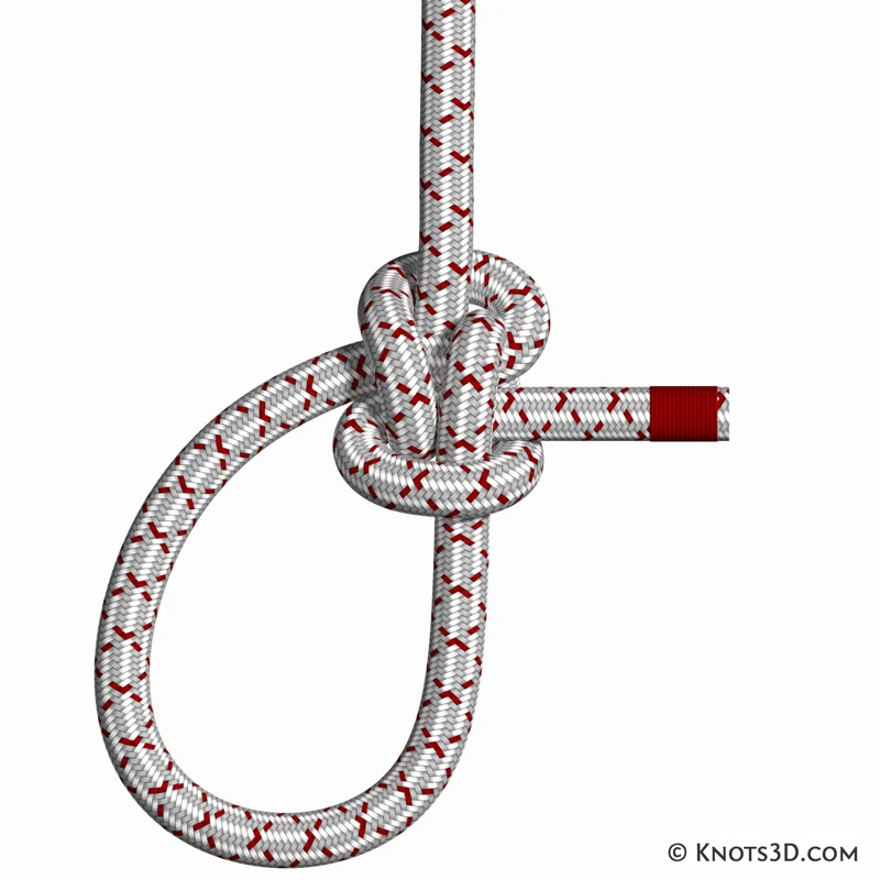 Animation: Boucle Zeppelin