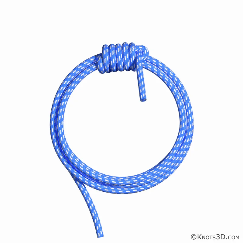 Animation: Glène alpine