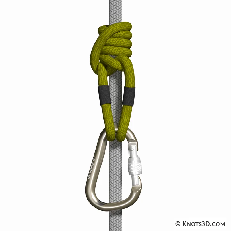 Animation: Nœud Michoacán