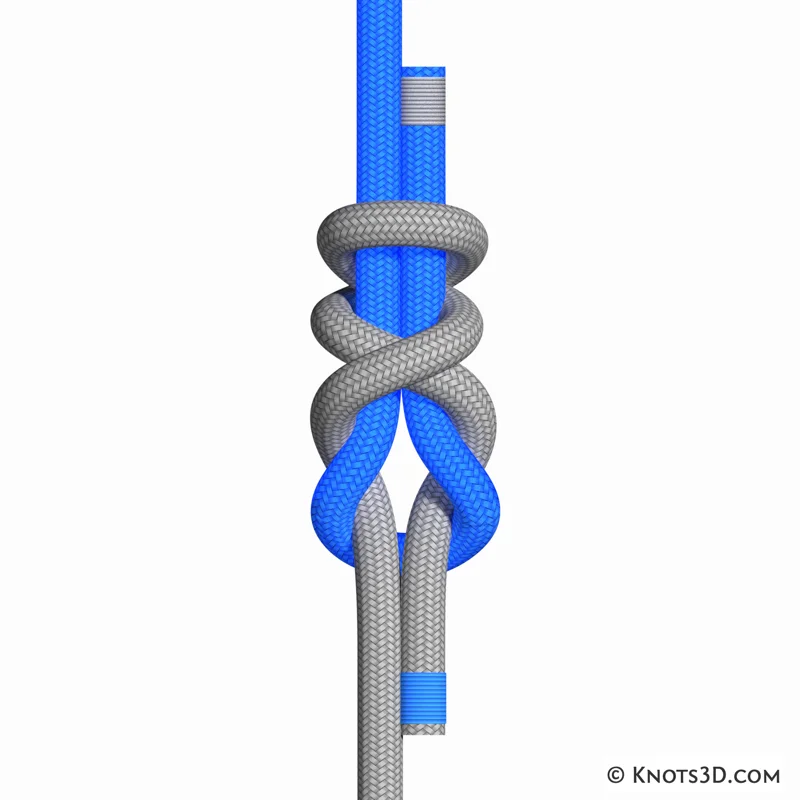 Animation: Nœud Simple Simon double (dessous)