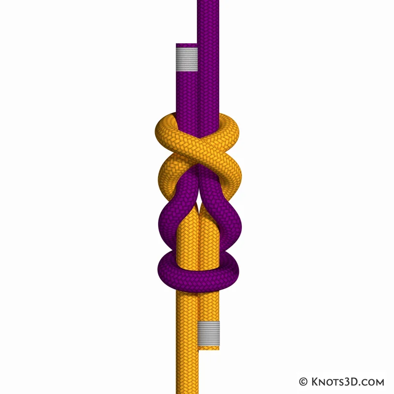 Animation: Nœud Simple Simon symétrique