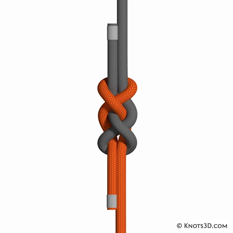 Animation: Nœud Vice Versa