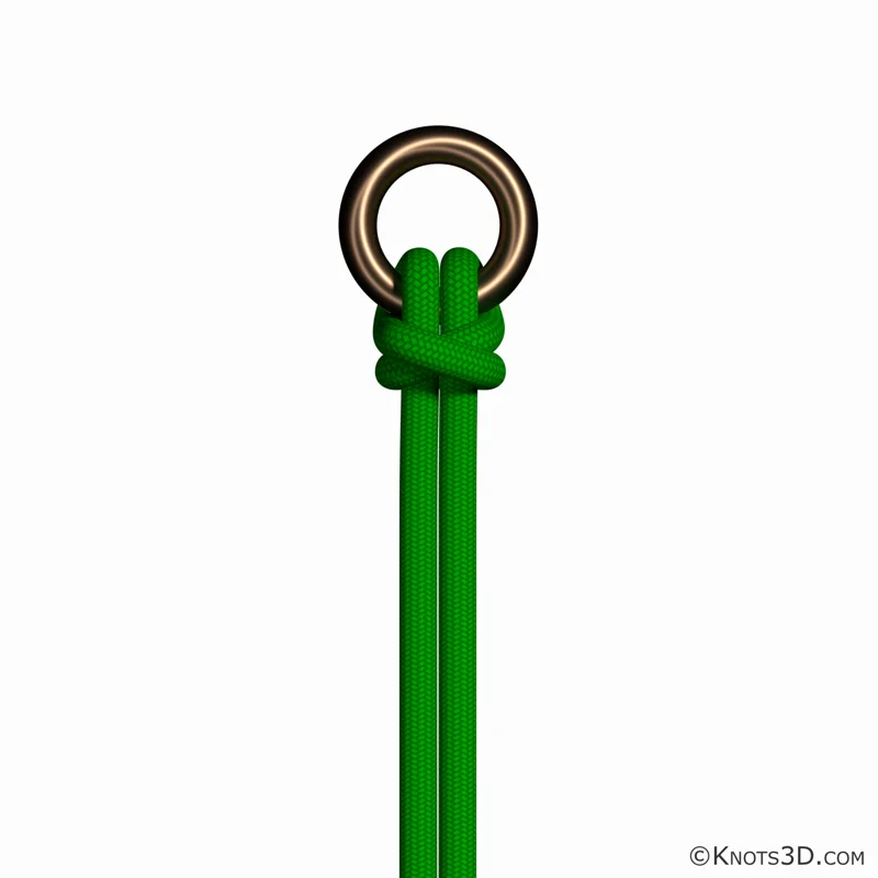 Animation: Tête de taureau (milieu)