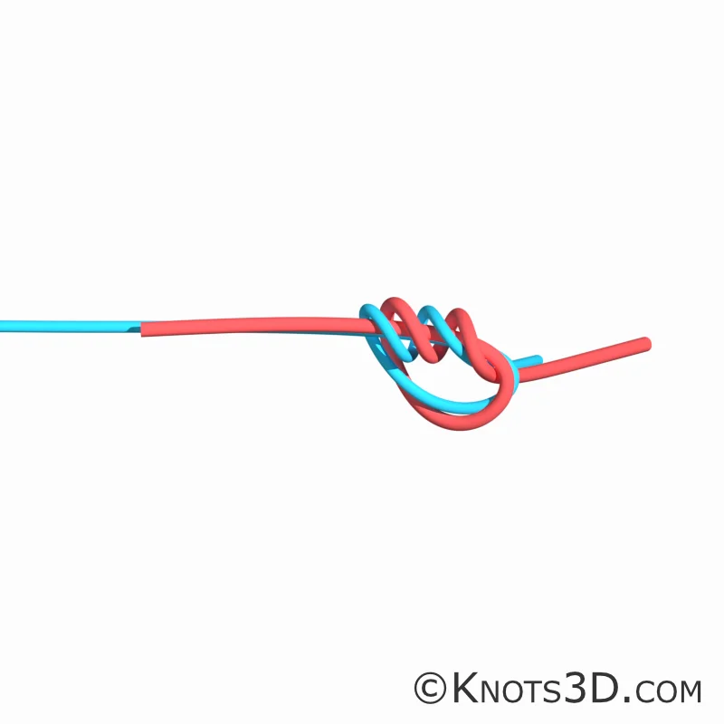 Animáció: Sebészcsomó (horgászat)