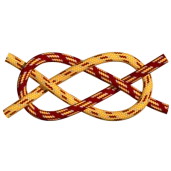 Carrick-csomó