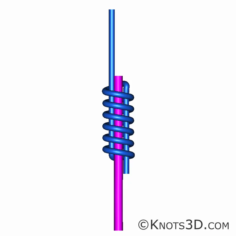 Animazione: Nodo a chiodo