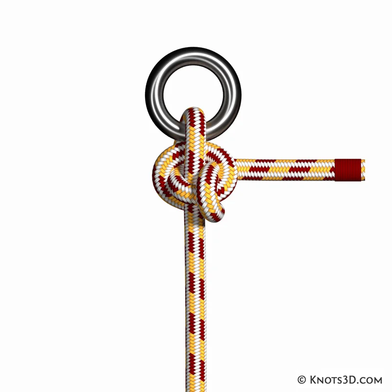 Animazione: Nodo del moscerino