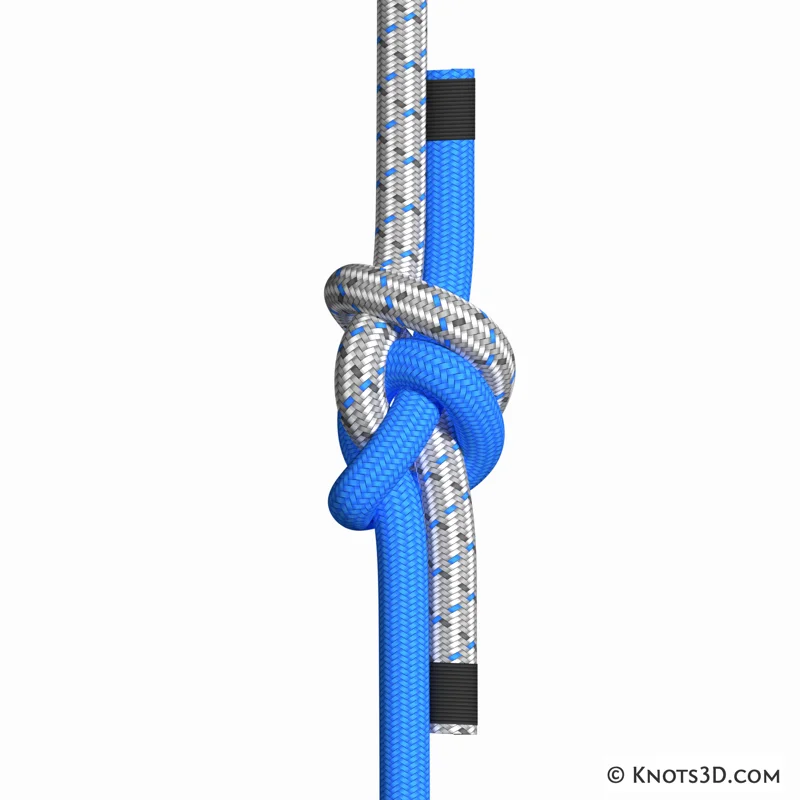 Animazione: Nodo stretta di mano