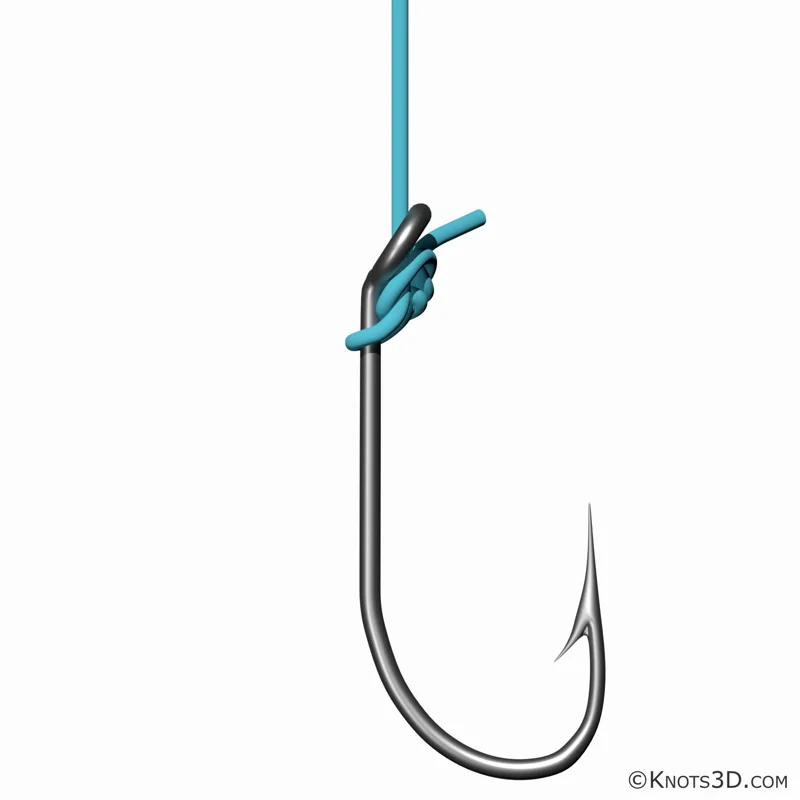 Animazione: Nodo Turle