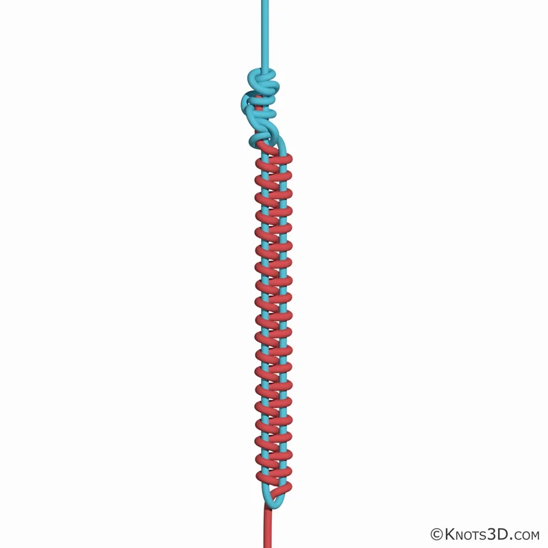 アニメーション: FGノット