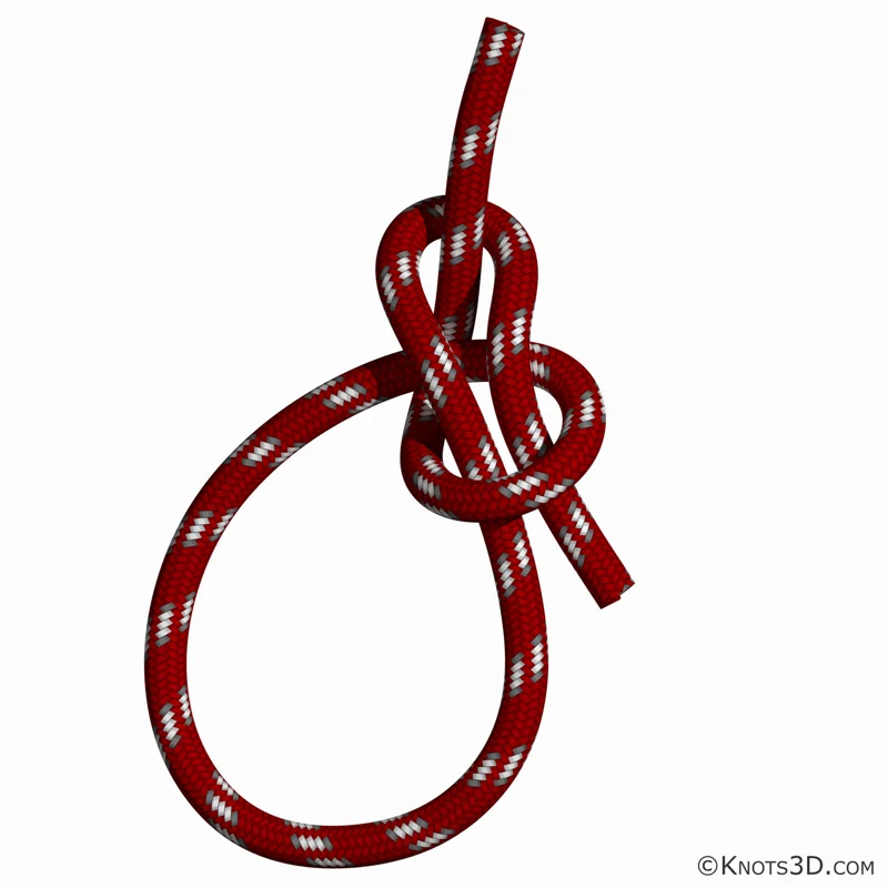 アニメーション: カウボーイ・ボウライン