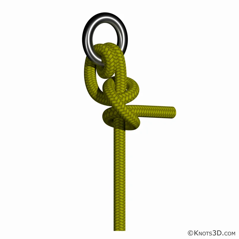 애니메이션: 둥글게 묶인 두 개 반 매듭