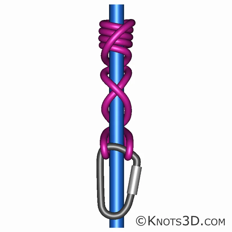 애니메이션: 발도탱 매듭