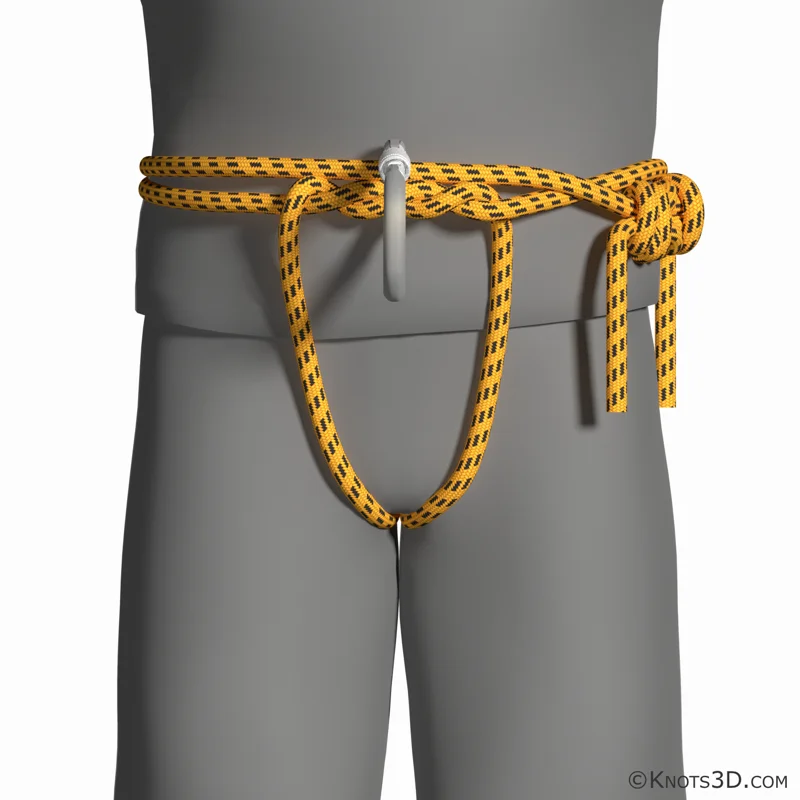 애니메이션: 스위스 시트