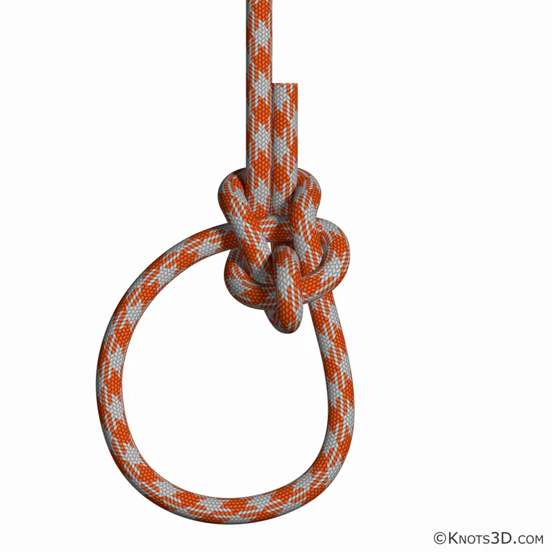 애니메이션: 스콧 폐쇄 보우라인 매듭