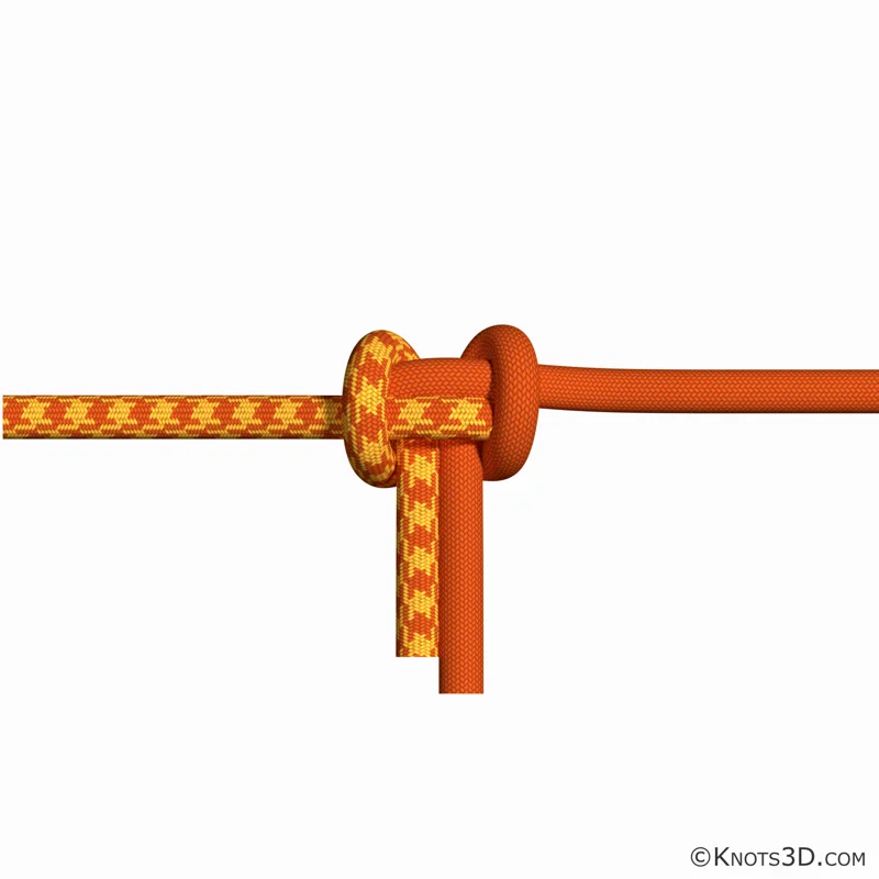 애니메이션: 알파인 나비 벤드