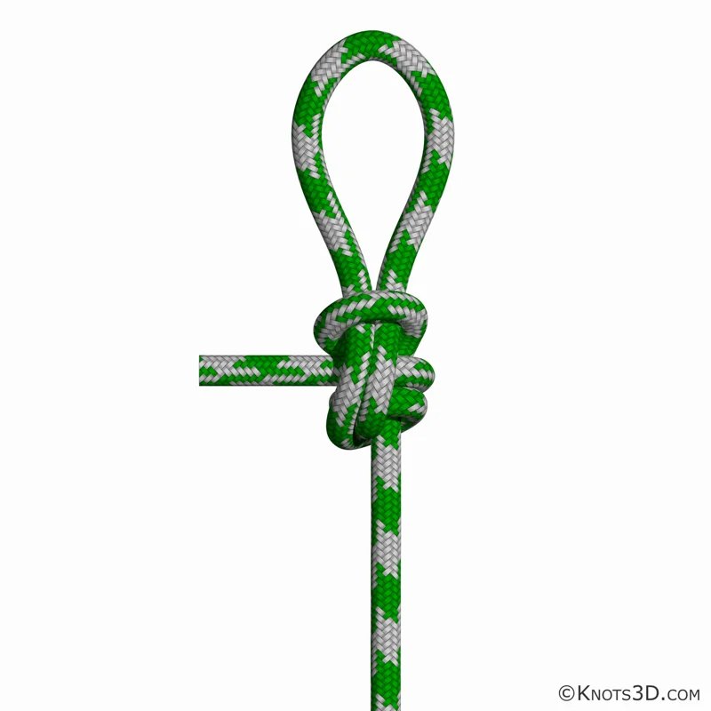 애니메이션: 이중 드래건 루프