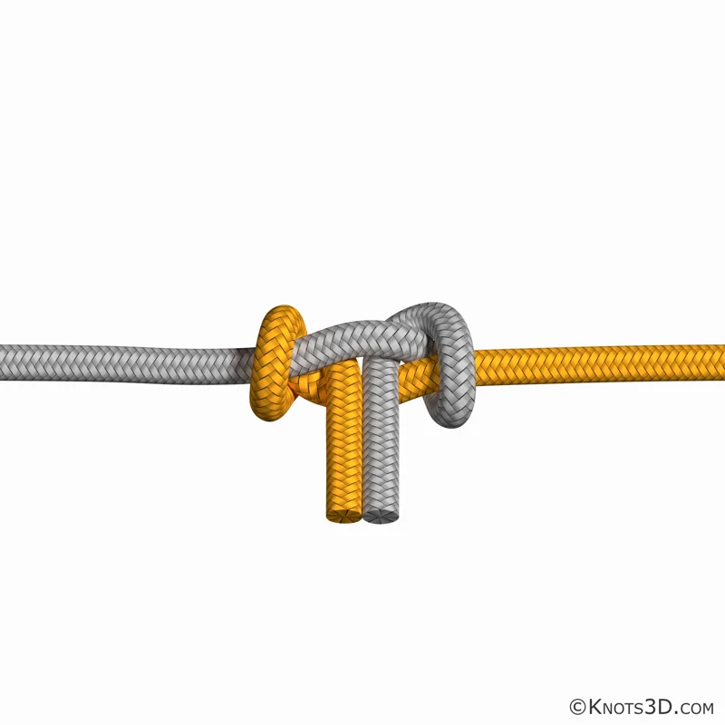 애니메이션: 이중 하네스 벤드