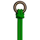 황소 히치 (중간)