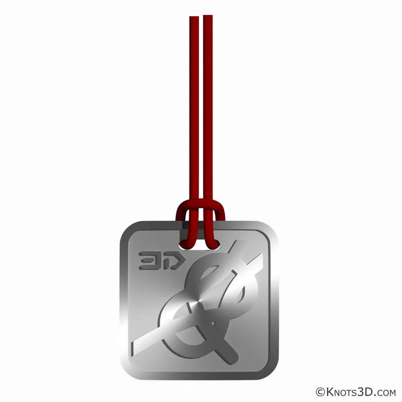 Animatie: Taliereepsteek