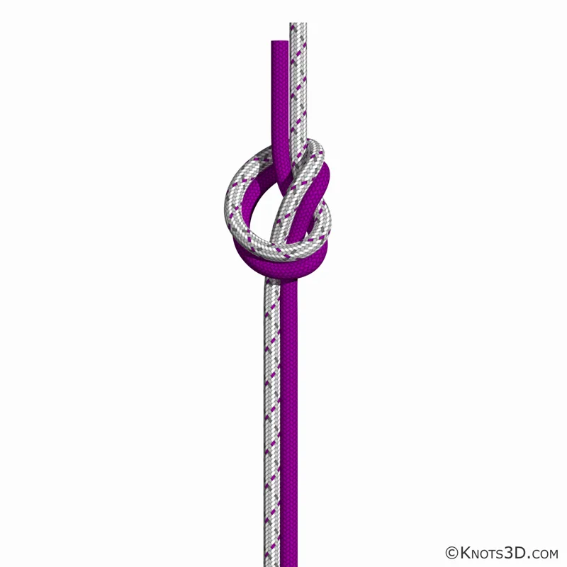 Animasjon: Overhåndsknop med parallelle tamper