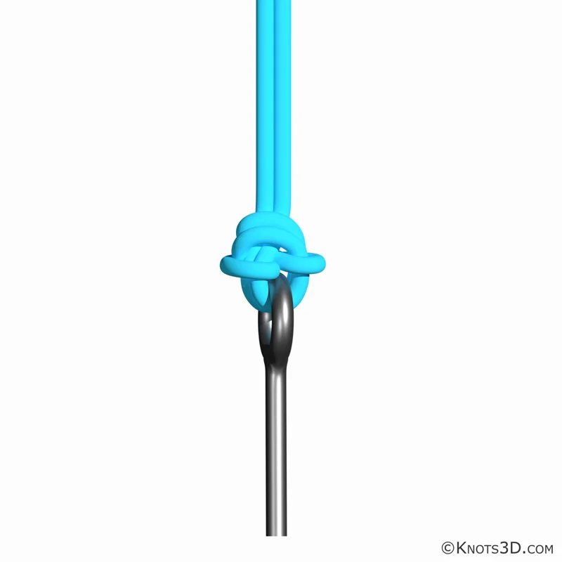 Animasjon: Palomar-knop