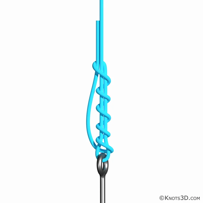 Animasjon: Pitzen-knute