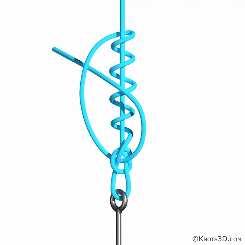 Animasjon: Rapalaløkke