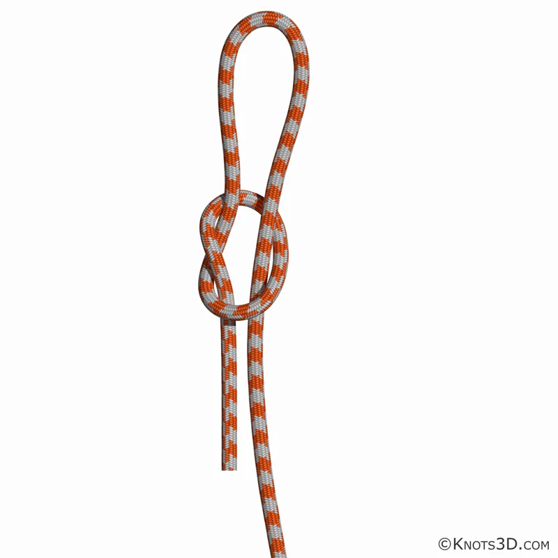 Animacja: Pętla prosta ruchoma