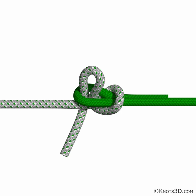 Animacja: Węzeł lapoński z wycofem