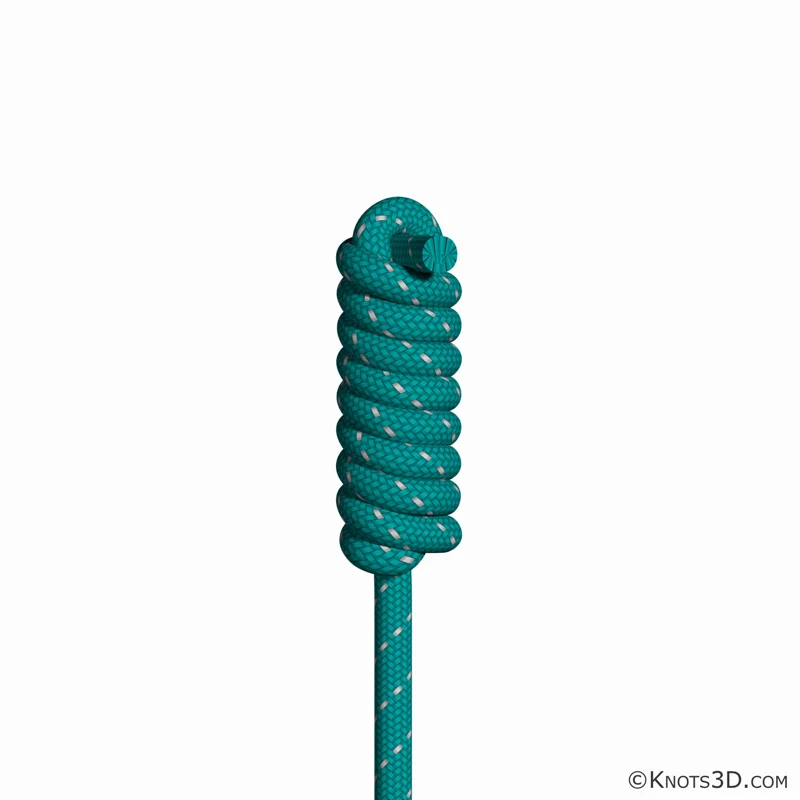 Animacja: Węzeł Uli