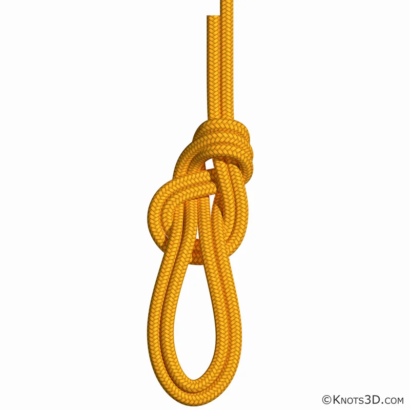 Animacja: Ósemka z podwójną pętlą