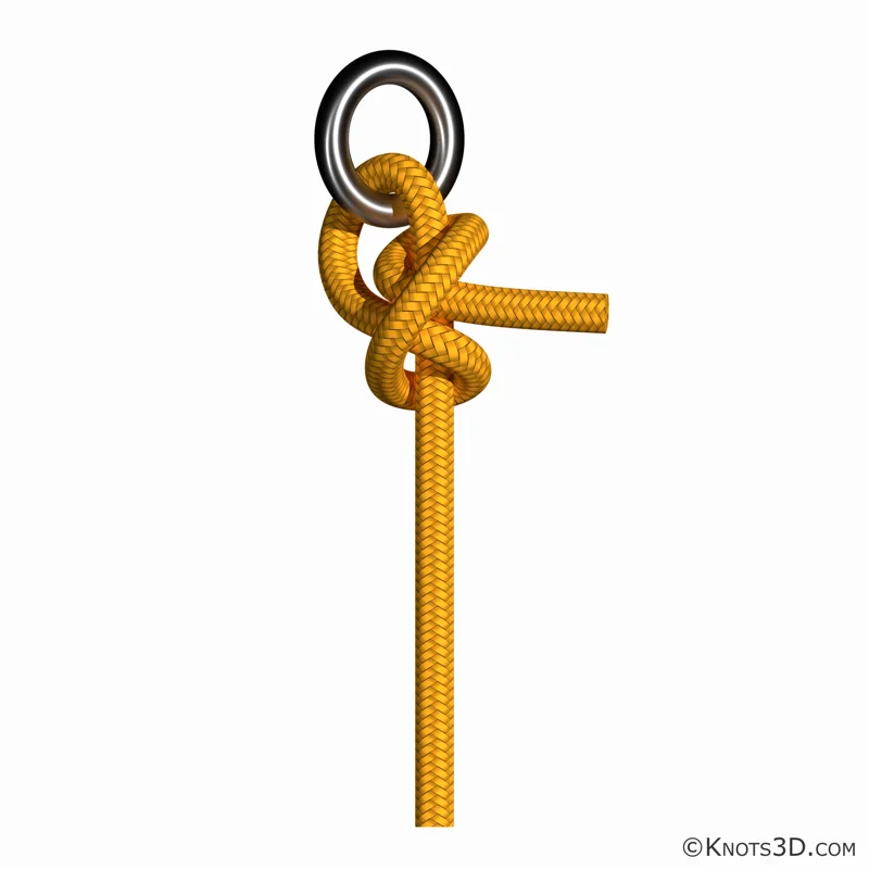 Animação: Meia-volta com volta do fiel