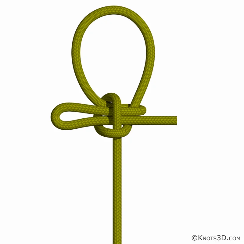 Animação: Nó calmuco